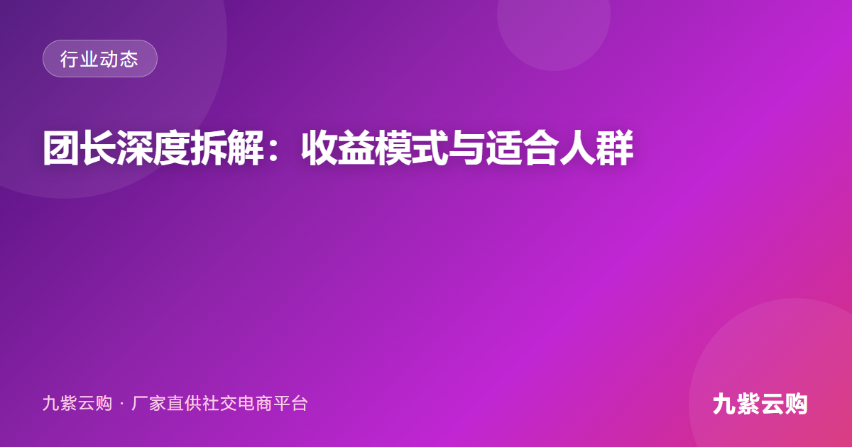 九紫云购团长深度拆解：收益模式与适合人群